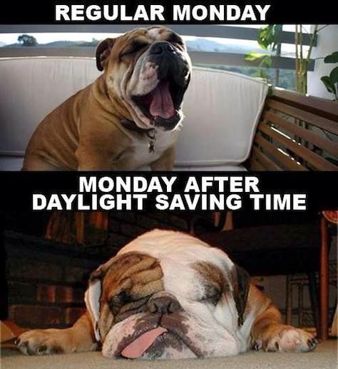 15 Daylight Saving Time Memes That Capture How Most Of Us Feel About The Time Change Daylight Savings Time Meme, Daylight Savings Meme, Daylight Savings Time Humor, Spring Forward Fall Back, Daylight Saving Time, Dentist Humor, Time Change, Tuesday Humor, Monday Humor