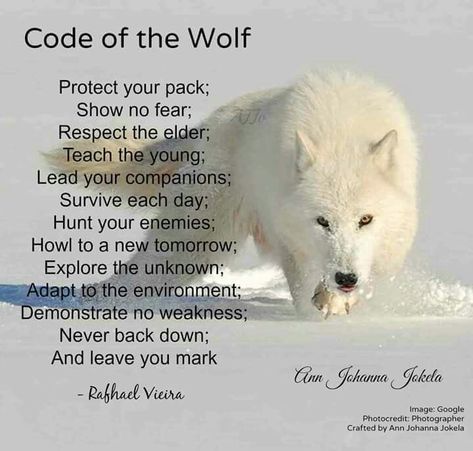 Code Of The Wolf, Lone Wolf Quotes, Tattoo Wolf, Wolf Quotes, Wolf Spirit Animal, She Wolf, Wolf Love, Wolf Pictures, Wolf Spirit