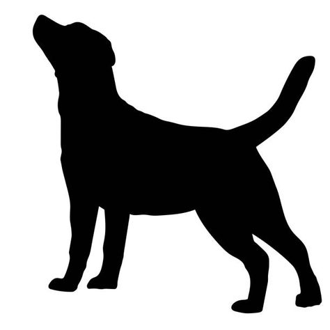 Labrador Outline, Labrador Silhouette, Puppy Cut, Image Film, Labrador Retriever Puppies, Dog Vector, Silhouette Stencil, Labrador Retrievers, Animal Silhouette