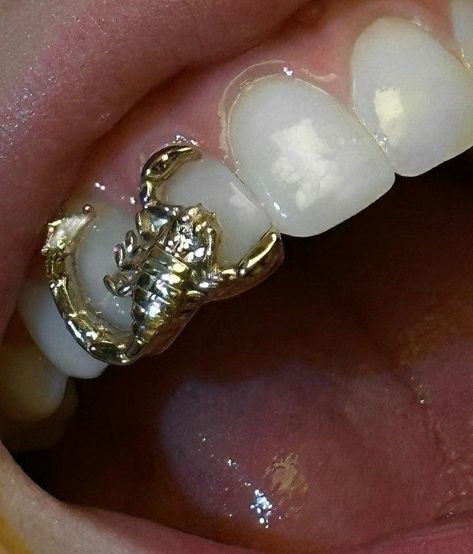 Teeth Gems, Grillz Teeth, Dope Jewelry Accessories, Grills Teeth, Tooth Gems, Tooth Gem, Gold Teeth, Teeth Jewelry, Jewelry Accessories Ideas