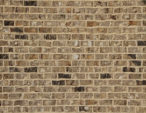 Berkley is one of the most popular brick we have known for it’s earth tones. All of our brick is sure to enhance any building project. In addition to being versatile our Classic Collection provide memorable results, utilizing their unique range of textures and characteristics to make your structure truly one of a kind because our brick comes in a wide array of colors including reds, browns, earth-tones, and pinks. Brown Brick Exterior, Brick Companies, Cottage Exteriors, Brown Brick, Jackson Ms, Home Exterior Makeover, Brick Exterior House, Exterior Makeover, Commercial Construction