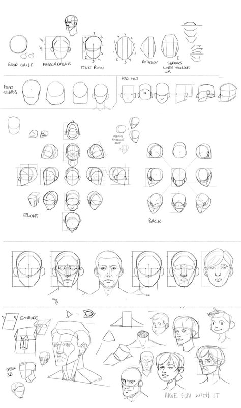 How To Construct A Face, Art Help Face, Face Construction Drawing, Face Structure Sketch, Anime Face Template, Head Construction Drawing, Face Structure Reference, Face Study Drawing, Face Structure Drawing