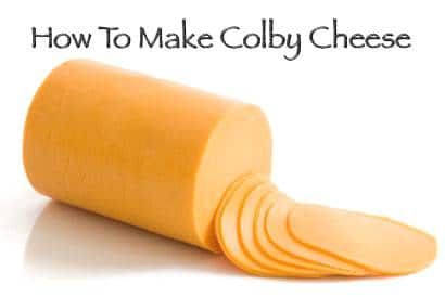 Colby Cheese Recipes, Homemade Cheeses, Yogurt Making, Cheese Recipes Homemade, Cheese Making Recipes, Butter Making, Making Cheese, Cheese Homemade, Diy Cheese