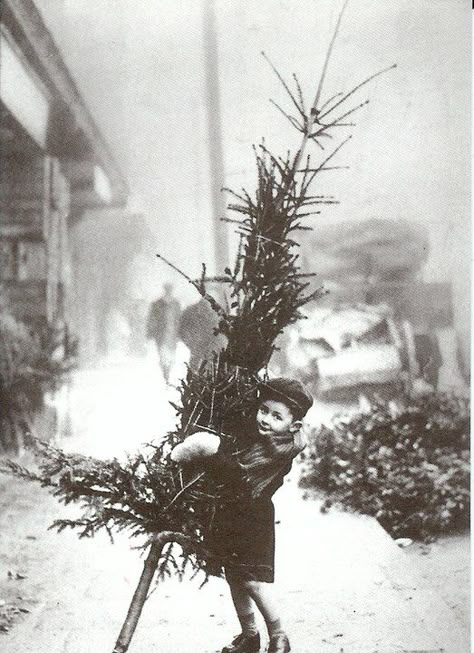 vintage - child with tree via what I like Vintage Christmas Photos, Christmas Past, Noel Christmas, Jolie Photo, Merry Little Christmas, 인물 사진, Christmas Photo, Christmas Love, Christmas Vintage