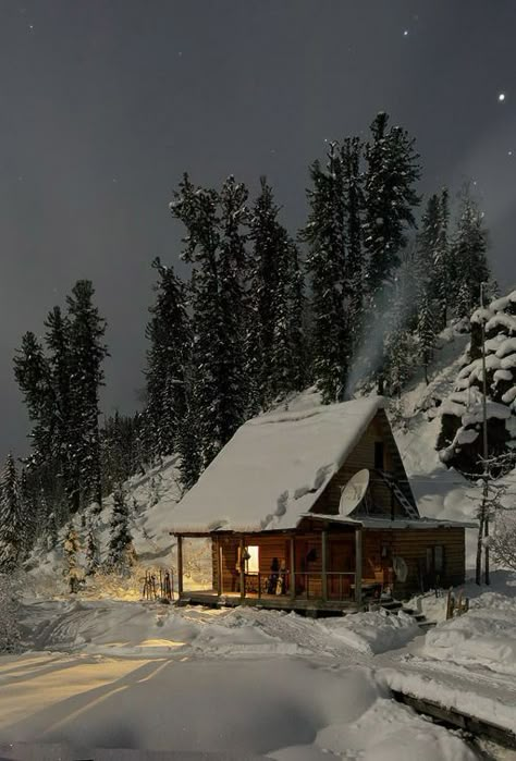 Cabin: Forest Lodge, Little Cabin In The Woods, Snowy Mountain, Cottage Cabin, Cabin Living, Winter Cabin, Little Cabin, Log Cabin Homes, A Cabin