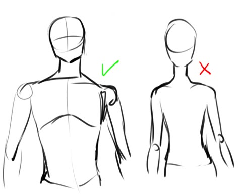 How To Draw Males Bodies, Male Body Drawing, Male Anatomy, Male Torso, Body Sketches, Body Reference Drawing, Body Anatomy, Drawing For Beginners, Poses References