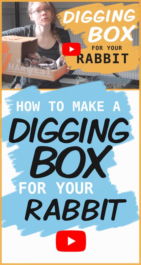 Cardboard Toys For Rabbits, Diy Digging Box For Rabbit, Diy Digging Box For Bunny, Rabbit Dig Box Ideas, Toys For Rabbits Diy, Digging Box For Rabbits, Dig Box For Rabbit, Bunny Dig Box Ideas, Bunny Digging Box Diy