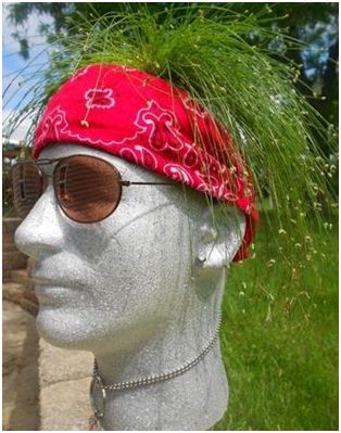 How to Use a Mannequin Head as a Whimsical Planter - Stone Spray Paint, Diy Solar Fountain, Unusual Planter, Keyhole Garden, Straw Bale Gardening, Fountain Ideas, Styrofoam Head, Fountain Lights, Solar Fountain