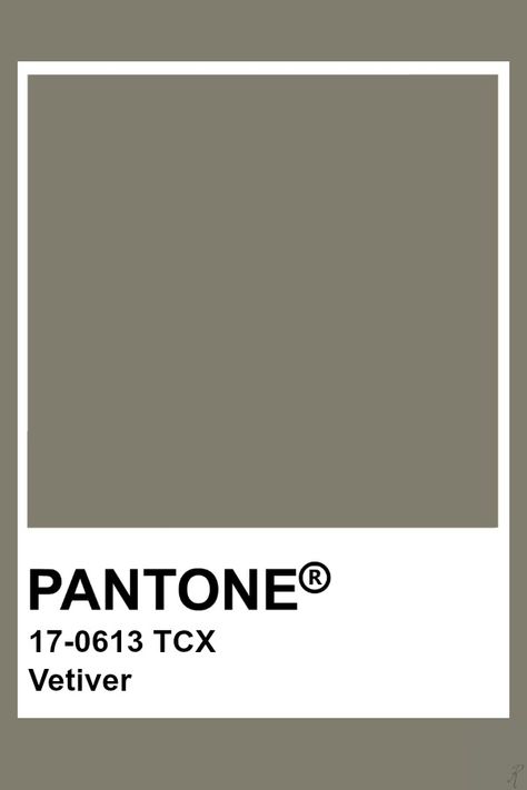 Pantone Vetiver Pantone Tcx, Pantone Color Chart, Pantone Swatches, Pantone Palette, Pantone Colour Palettes, Colors Inspiration, Pantone Colors, Color Chip, Color Analysis