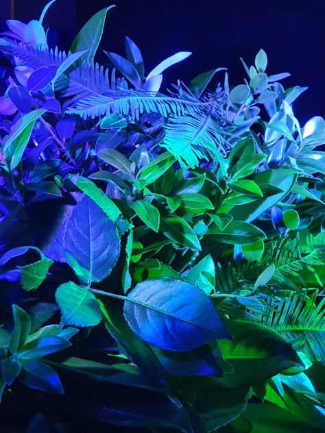 Neon Garden, Neon And Plants, Neon Plants, Neon Nature Aesthetic, Neon Forest, Neon Plants Aesthetic, Vaporwave Plants, Glowing Plants Art, Neon Forest Aesthetic