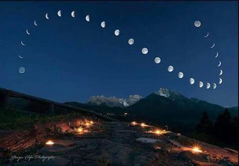 Same time same place for 28 days compiled into one photo. Luna dancing to the beat! Phases of the moon Photo credit "Giorgia Hofer Photography 2017" Shots taken in Italy Nikon D750 Shared on facebook Moon Time, Best Funny Photos, Arte Van Gogh, Lunar Phase, Phases Of The Moon, Lunar Cycle, Moon Cycles, Great Photographers, 28 Days