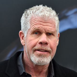 Ron Perlman Jacob Kowalski, Vincent And Catherine, Ron Perlman, Handsome Older Men, Hollywood Men, Sons Of Anarchy, Famous Men, Male Portrait, Hollywood Actor