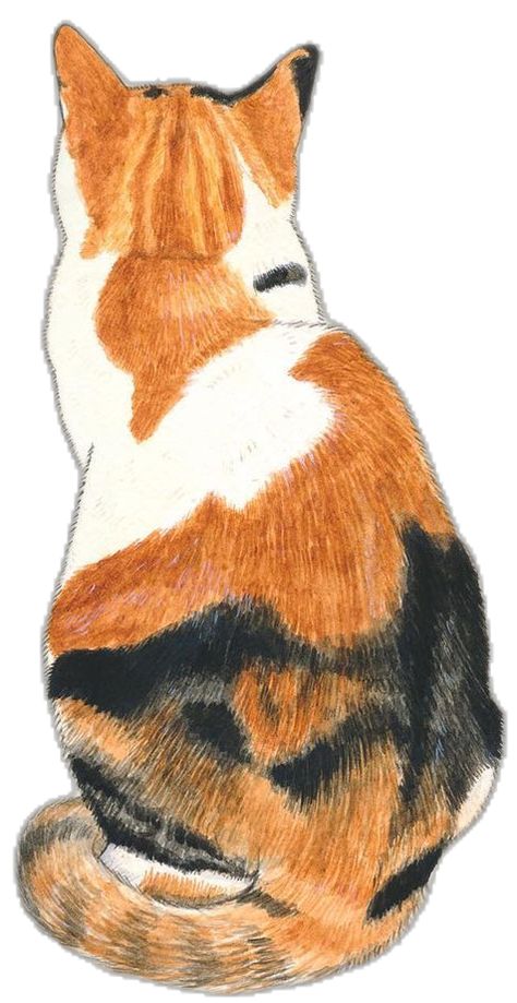 Cat Love Illustration, Calico Cat Sketch, Calico Cat Watercolor, Calico Drawing, Calico Cat Drawing, Calico Cat Painting, Colorful Cat Painting, Calico Cat Art, Mac Icons