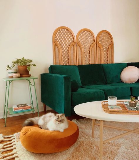 Ashley Martin (@trashleymartin) • Instagram photos and videos Green Couch Living Room Ideas, Move In With Me, Creative Living Room Ideas, Puerto Rico House, Ashley Martin, Apartment Living Rooms, Green Couch Living Room, Wall Nook, Green Living Room Ideas