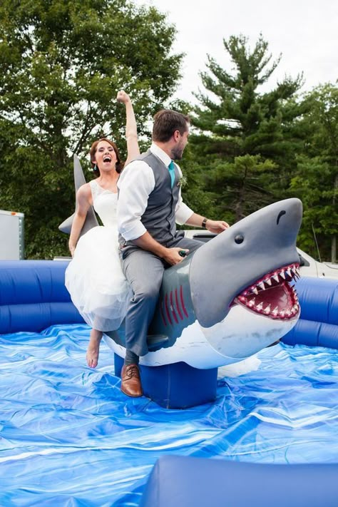 Shark Wedding, Mechanical Shark, Shark Week Party, Shark Themed Party, Nh Wedding, Small Shark, Shark Bait, Shark Lover, Shark Party