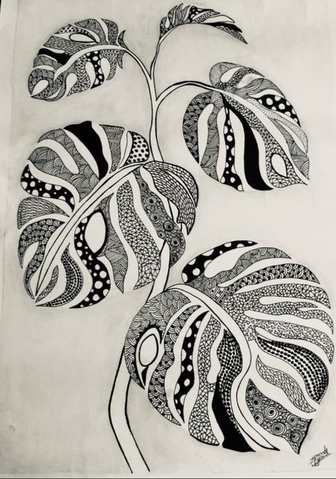 Cactus Zentangle Art, Black And White Plant Tattoo, Plant Zentangle, Calathea Tattoo, Zentangle Plants, Monstera Plant Drawing, Monstera Plant Tattoo, Modele Zentangle, American Traditional Tattoo Ideas