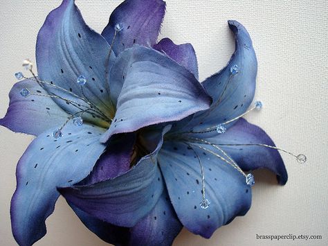 I Love Blue Tiger Lilies Blue Tiger Lily, Tiger Lily Wedding, Blue Lily Lily Blue, Lily Garden, Stargazer Lily, Blue Lily, Blue Tiger, Fern Plant, Nothing But Flowers