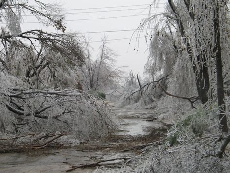 A Massive Ice Storm Froze Oklahoma In 2007 And It Will Never Be Forgotten Power Outage Tips, Snow Storms, Bad Storms, Oklahoma History, Freezing Rain, Wild Weather, Ice Storm, Canadian Winter, National Weather Service