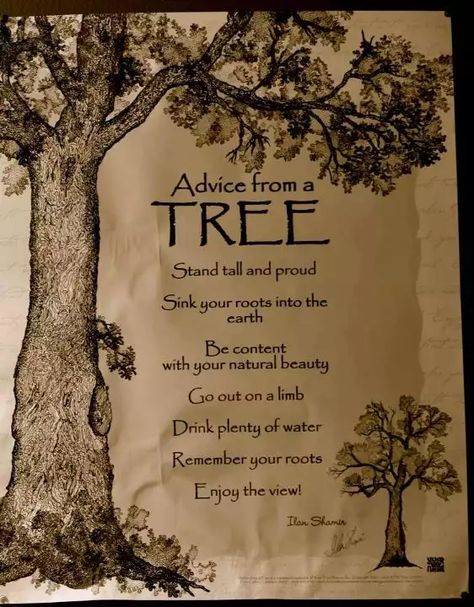 Imgur Post - Imgur Giving Tree Quotes, Roots Quotes, Tree Of Life Quotes, Nature Quotes Trees, Mother Nature Quotes, Tree Poem, Tree Quotes, The Giving Tree, Drinking Quotes