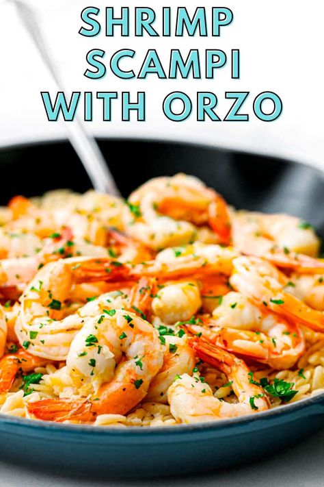 Garlic Butter Prawn Orzo, Shrimp Scampi Orzo Recipes, Garlic Orzo Tuscan Shrimp, Orzo Seafood Recipes, Shrimp Recipes Orzo, Shrimp Scampi Orzo, Creamy Shrimp Orzo Recipes, Seafood Orzo Recipes, One Pot Shrimp Recipes