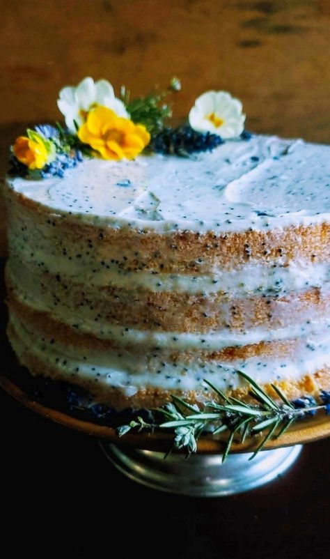 Mascarpone Cake, Rosemary Syrup, Kitchen Witch Recipes, Seed Cake, Garlic Cream Sauce, Honey Cookies, Lavender Rosemary, Sponge Cake, Learn To Cook