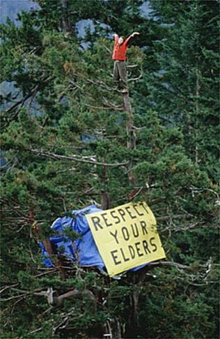 Julia Butterfly Hill - Respect your Elders Julia Butterfly, Astrud Gilberto, Notting Hill Quotes, Respect Your Elders, Environmental Activist, Redwood Tree, Tree Hugger, Woodstock, A Tree