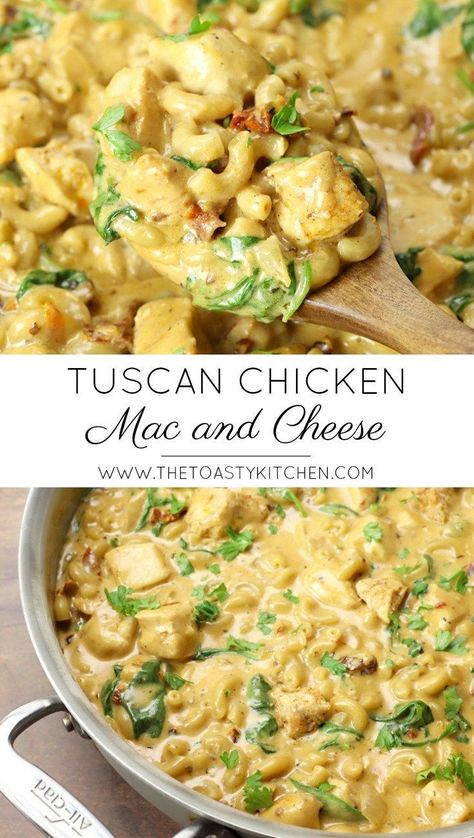 Tuscan Chicken Mac And Cheese, Macaroni Chicken, Rolled Chicken Recipes, Chicken Mac And Cheese, Pasta Bakes, Chicken Tortellini Soup, Tuscan Chicken Pasta, Chicken Bacon Ranch Pasta, Chicken Tortellini