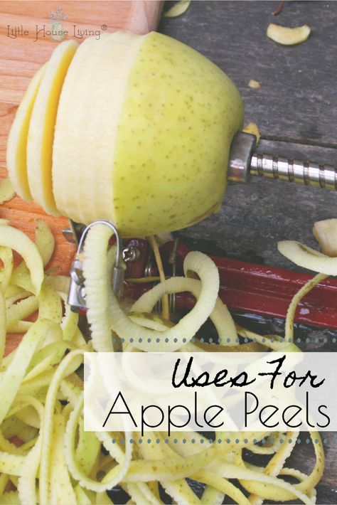 Are you making delicious apple treats and goodies with this yummy fruit? Don't waste a bit! Here are some creative uses for apple peels. #wastenot #applerecipes #apples #frugalrecipe #useitup Apple Peel Recipe, Vegan Homestead, Apple Canning, Preserving Produce, Preserving Apples, Apple Treats, Leftover Apples, Frugal Food, Yummy Fruit