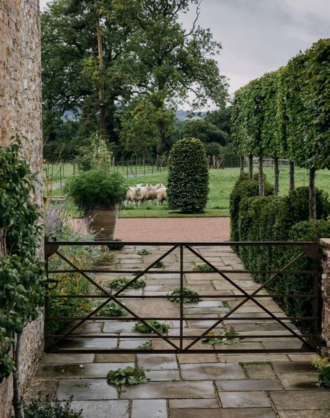 Modern Garden Landscape, Hornbeam Hedge, Tall Shrubs, Landscape Design Ideas, Modern Gate, Farm Gate, Landscape Designer, Garden Decor Ideas, English Country Gardens