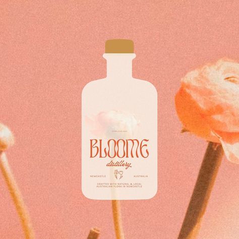 Hello Final Reveal! Welcome to my final reveal for this weeks #thebriefbabes project! I absolutely adore this weeks. Knowing that I tried… | Instagram Peach Branding, Australia Crafts, Newcastle Australia, Cocktail Book, Australian Flora, Logo Design Typography, Instagram Branding, Branding Design Inspiration, Advertising Poster