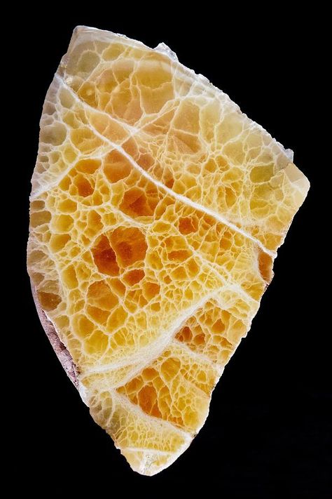 Honeycomb Calcite, Golden Tooth, Utah State, Inner Peace, Honeycomb, Wall Art Home, Art Home Decor, Art Home, Utah