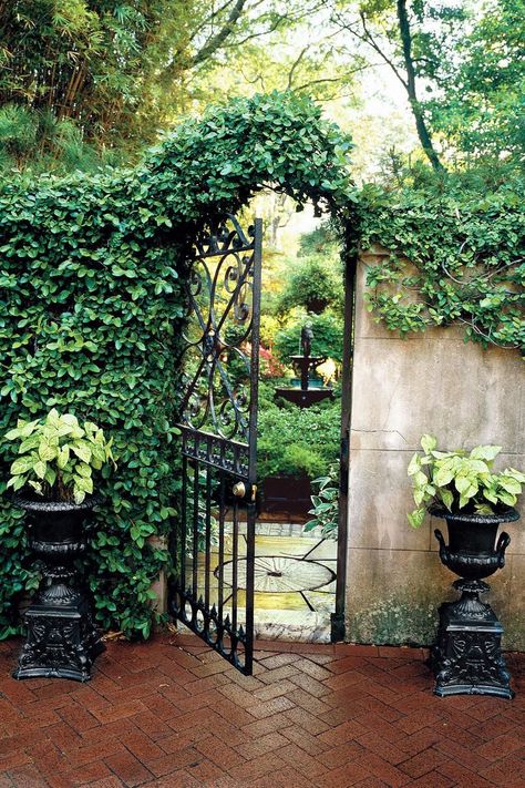 Savannah Gardens, Garden Gate Design, Real Estat, Walled Garden, The Secret Garden, Garden Gate, Iron Gate, Kew Gardens, Garden Doors