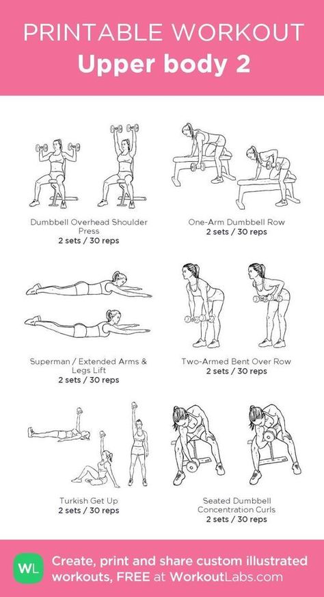 Womens Upper Body Workout, Beginners Gym Workout Plan, One Arm Dumbbell Row, Strength Training Guide, Body Chart, Printable Workout, Workout Program Gym, Gym Plan, Reps And Sets