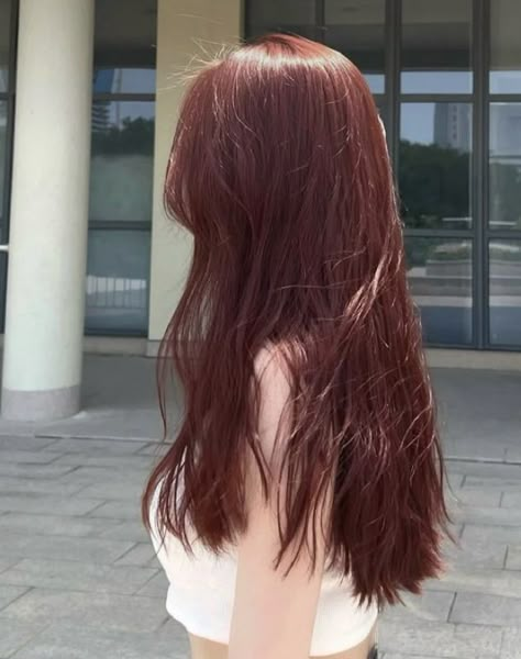 Maroon Hair, Cherry Red Hair, Wine Red Hair, Korean Hair Color, Wine Hair, Red Hair Inspo, Cherry Hair, Long Red Hair, Pretty Hair Color