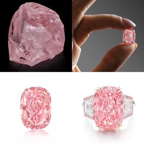 Pink Star Diamond, Raw Gemstones Rocks, Fairy Wings Costume, Rare Diamonds, Glamorous Jewelry, Before After, Real Queens, Pink Diamonds, Pink Star