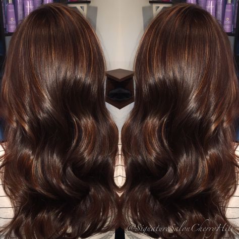 Dark Brown Golden Hair, Dark Golden Auburn Hair, Deep Golden Brown Hair, Auburn Highlights Brown Hair, Golden Brown Hair Dark, Warm Rich Chocolate Brown Hair, Deep Chestnut Brown Hair, Dark Golden Brown Hair Color, Dark Auburn Hair Color Brown