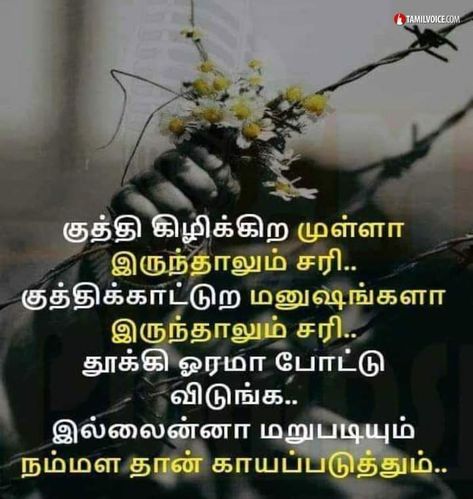 Tamil Quotes (@besttamilquotes) posted on Instagram: “#yes” • May 6, 2021 at 9:11am UTC Situation Quotes, Quotes Tamil, Quotes In Tamil, Tamil Motivational Quotes, Beautiful Good Night Images, Good Morning Beautiful Pictures, Tamil Quotes, Photo Album Quote, Night Images