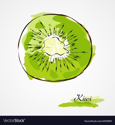 Fruit Texture, Draw Fruit, Abstract Painting Diy, Soft Grunge Aesthetic, Watercolor Beginner, Fruit Wallpaper, Fruit Slice, Kiwi Fruit, Hand Drawn Vector