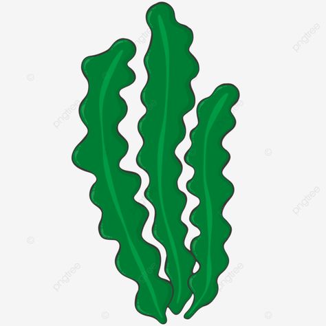 cartoon seaweed cartoon seaweed seaweed illustration seaweed clipart png Cartoon Seaweed, Seaweed Clipart, Proportion Drawing, Seaweed Illustration, Body Proportion Drawing, Illustrator Ideas, Rock Beach, Cartoon Clipart, Green Algae