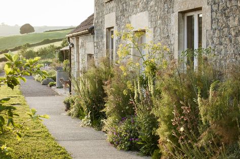 Dan Pearson Garden Design, Dan Pearson Garden, Rural Garden, Hillside Farms, Dan Pearson, Planting Combinations, Hillside Garden, Simple Garden, Country Gardens