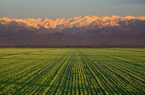 This week is #NationalFarmCityWeek! Bennett & Bennett Irrigation has been a proud member of the Central Valley farming community for 85 years. We salute the families and individuals in our area and farm cities everywhere, for their continuing commitment to agriculture. Central Valley California, Visalia California, Tulare County, San Joaquin Valley, Sierra Nevada Mountains, Central California, Moving To California, Central Valley, Sequoia National Park