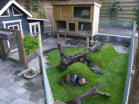 Rabbit Playground, Rabbit Shed, Rabbit Enclosure, Rabbit Habitat, Bunny Hutch, Guinea Pig House, Bunny Room, Pet Bunny Rabbits, Indoor Rabbit