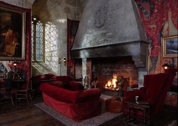 Gryffindor Common Room, Harry Potter Wiki, Gryffindor Aesthetic, Images Harry Potter, Harry Potter Houses, Hogwarts Aesthetic, Fred Weasley, Goblet Of Fire, Common Room