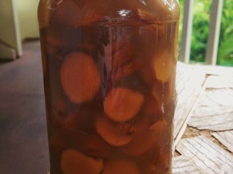 Photo: Pitcher of Turmeric Tincture Turmeric Tincture, Ginger Tincture, Fermented Herbs, Cider Recipes, Detox Pills, Medicine Recipes, Medical Tips, Fermented Veggies, Body Tips