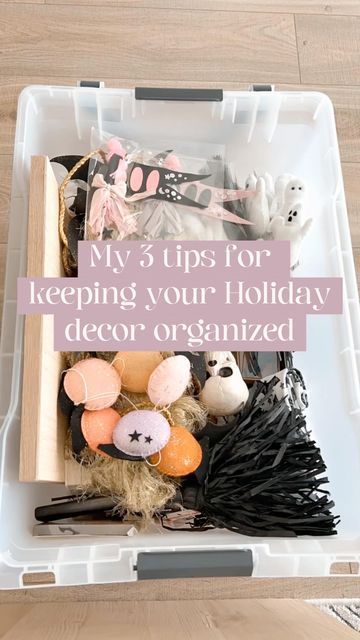 Stephanie Hanna • DIY • Holidays on Instagram: "I love to keep a rolling storage bin in my office to store all of my new purchases for the upcoming holiday or event. It helps me stay organized and prepped! Do you do this too? . . . . . . . . #holiday #holidaydecor #holidaydecorating #storage #organization #organizing #target #targetfinds #targetmademedoit #storagesolutions #storageideas #storage #organize #holidaylove #halloween #halloweendecor" Halloween Storage Bins, Halloween Storage Ideas, Holiday Decor Organization, Christmas Storage Organization, Holiday Decor Storage Ideas, Seasonal Decor Storage, Seasonal Organization, Holiday Storage Labels, Storage Labels Printable