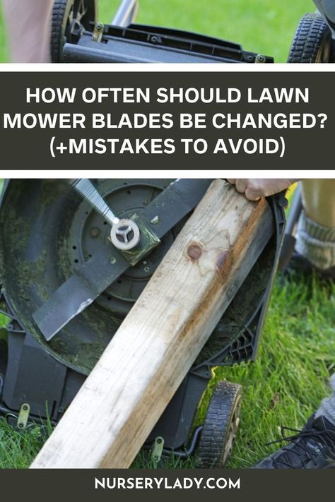 Change lawn mower blades -
Mower blade replacement -
Blade maintenance schedule -
Lawn care tips -
Mower upkeep -
Blade changing frequency -
Avoid mower mistakes -
Lawn equipment care -
Mower performance tips -
Sharp blades for lawn -
Lawn maintenance guide - 
Mower blade care -
DIY blade replacement -
Lawn mowing tips -
Blade replacement advice - Lawn Mower Maintenance, Lawn Mower Blade, Lawn Mower Blades, Lawn Equipment, Lawn Care, Lawn Mower, To Look, Lawn