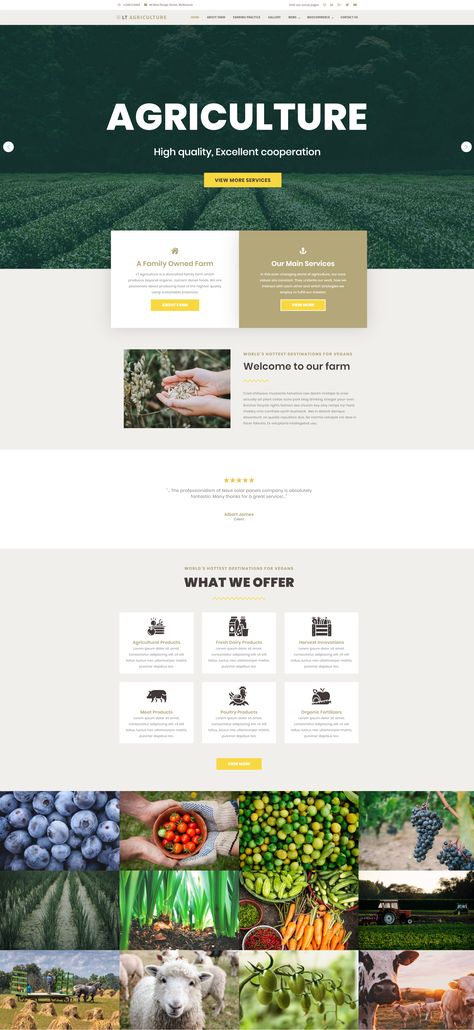 Hi guys! We are glad to introduce to you this gorgeous theme for farmers: LT Agriculture! This theme has an eye-catching look with fancy colors, which makes it possible for farmer to promote family farming operation, agribusiness development corporation agricultural organizations on the Internet. Can't miss it! #60%off #wordpresstheme Agriculture Website Design, Free Wordpress Themes, Hi Guys, Wordpress Themes, Family Farm, Wordpress Theme, Agriculture, Farmer, Website Design