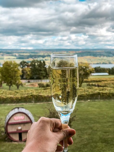 27 Best Finger Lakes Wine Tours: A Wine Tasting Paradise Niagara Falls Vacation, Finger Lakes Wineries, Travel The Us, Visiting Niagara Falls, Watkins Glen State Park, Finger Lakes Ny, Cayuga Lake, Keuka Lake, Seneca Lake