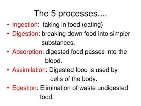 PPT - Digestive System & Diet PowerPoint Presentation - ID:5408593 Process Of Digestion, Bile Salts, Sigmoid Colon, Gastric Juice, Salivary Gland, Cell Line, Bile Duct, Digestive Juice, Large Intestine