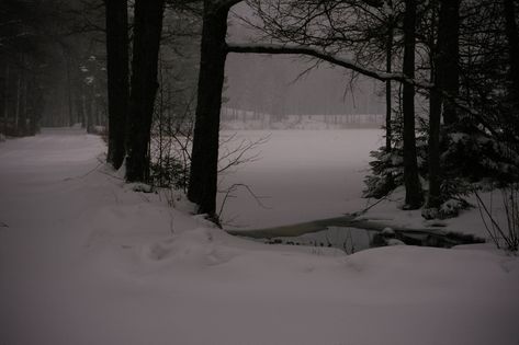 Snowy Path, Snowy Mountains, Winter Trees, Winter Aesthetic, Winter Landscape, The Villain, In The Woods, Cold Winter, The Snow